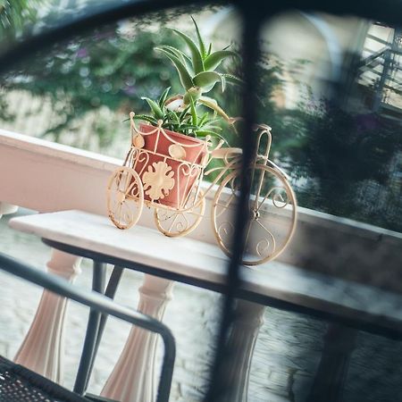 Zante Nest Studios & Apartments 阿利卡纳斯 外观 照片