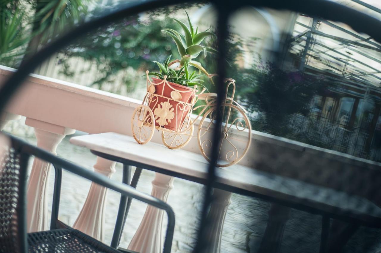 Zante Nest Studios & Apartments 阿利卡纳斯 外观 照片